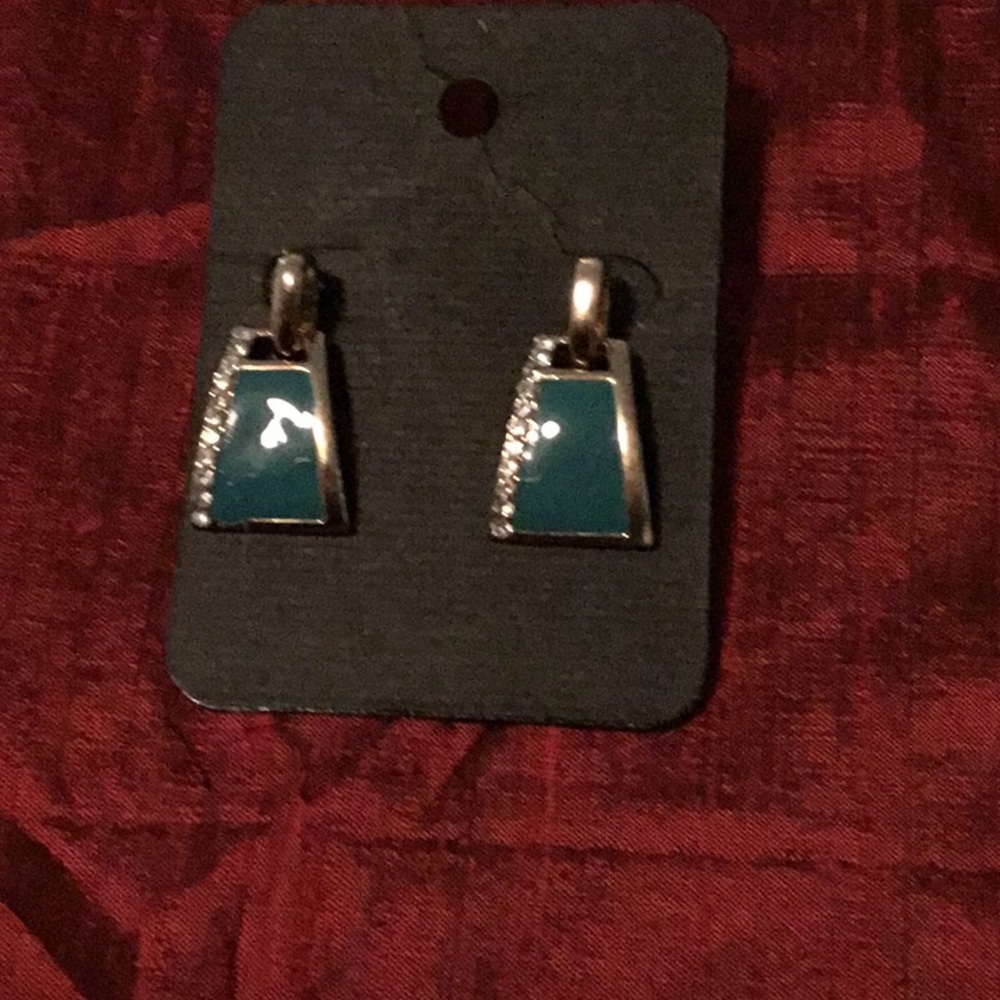 Earrings NWOT